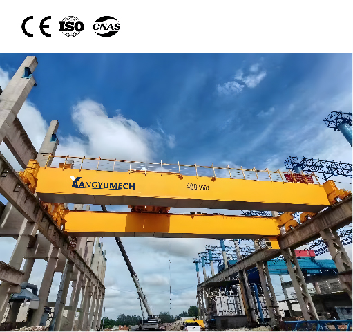 Double Girder Overhead Crane