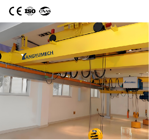 Double Girder Overhead Crane