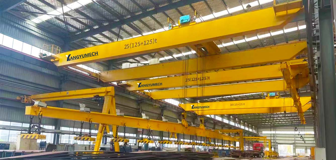 Double Girder Overhead Crane